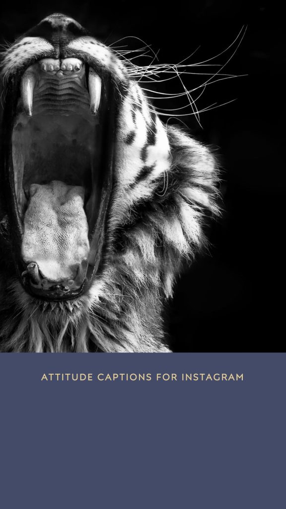 Best Attitude Captions For Instagram