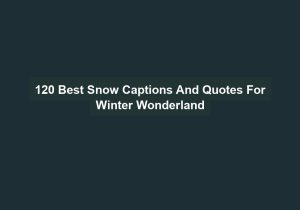 120 Best Snow Captions And Quotes For Winter Wonderland