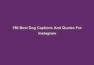 150 Best Dog Captions And Quotes For Instagram