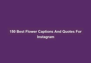 150 Best Flower Captions And Quotes For Instagram