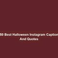150 Best Halloween Instagram Captions And Quotes