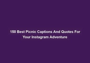 150 Best Picnic Captions And Quotes For Your Instagram Adventure
