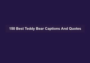 150 Best Teddy Bear Captions And Quotes