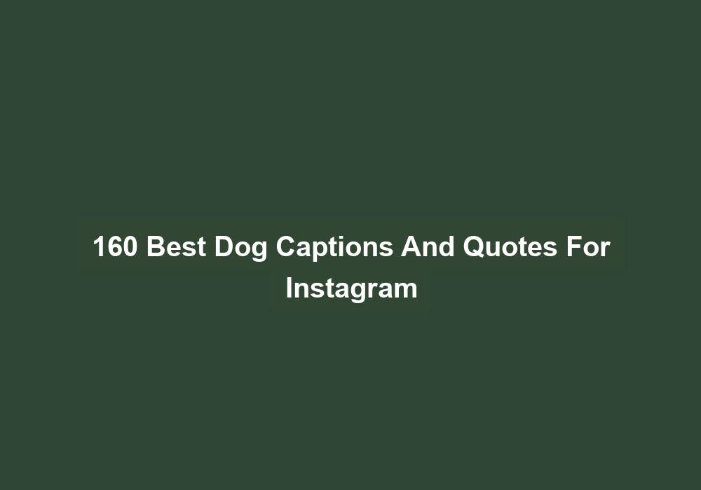 160 Best Dog Captions And Quotes For Instagram