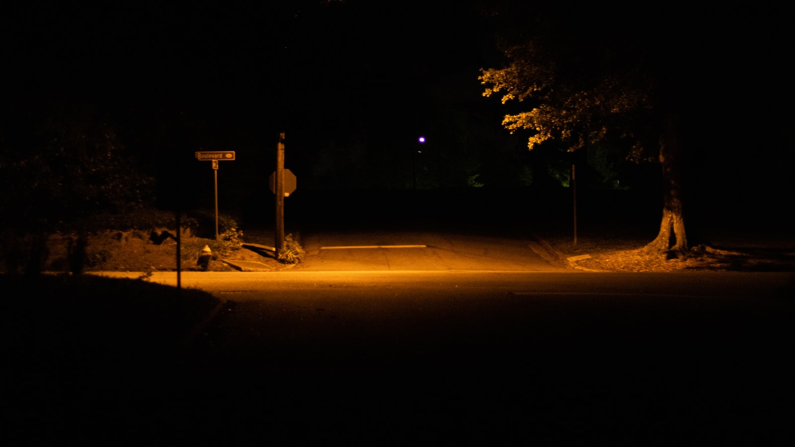 Lighting Up Your Instagram: Street Light Captions To Steal The Spotlight