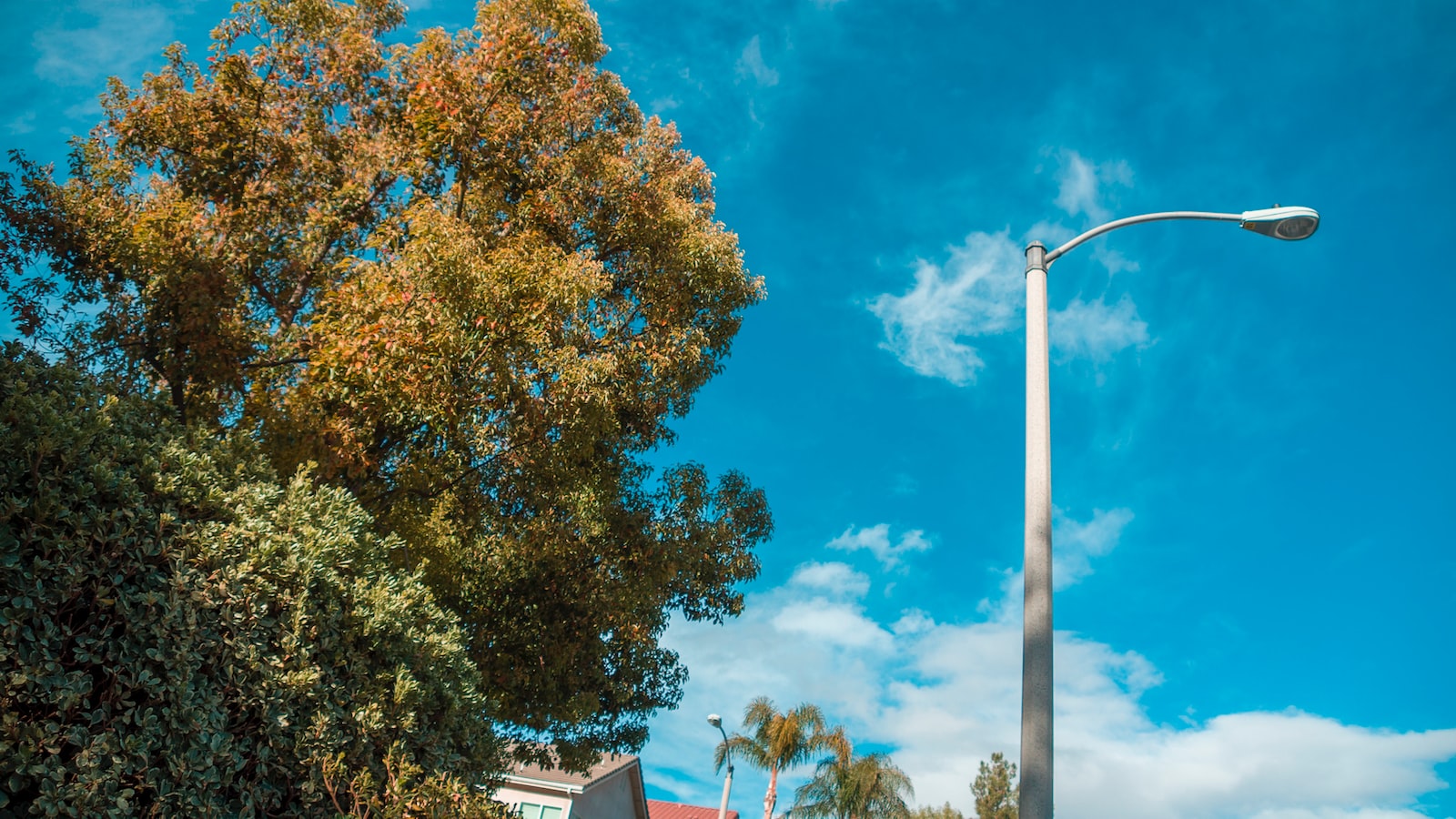 Brighten Up Your Feed With These Street Light Captions