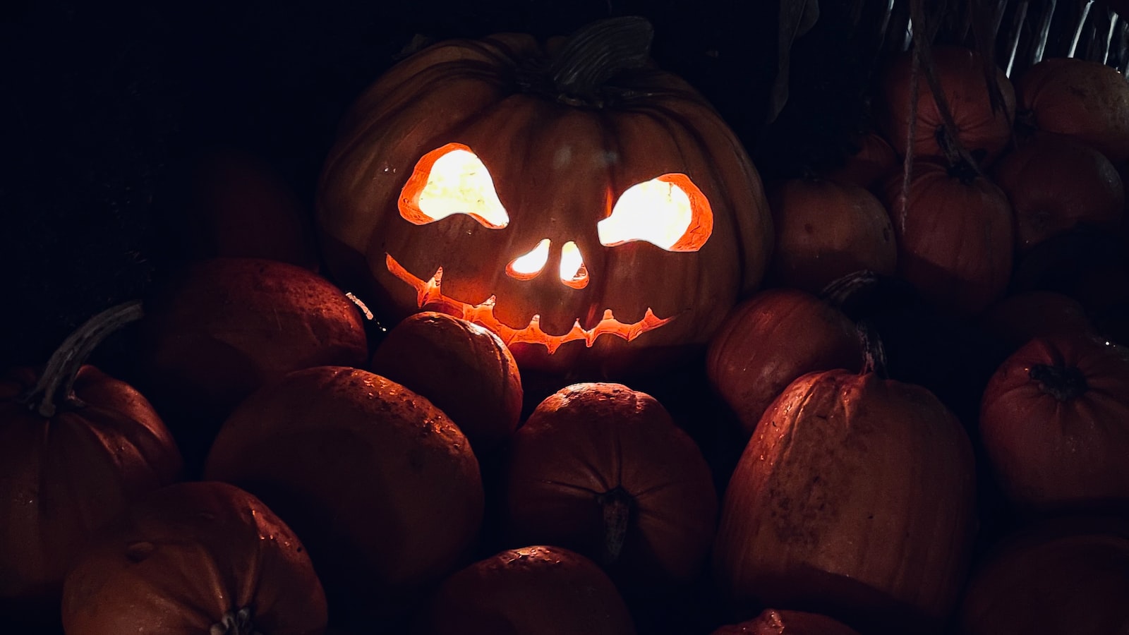 Using ‌Halloween Captions ‌To Boost Social Media Engagement